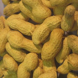 ARACHIDEN USA/CHINA ONGEPELD zak 10 kg