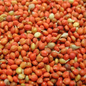 PANIS ROOD (gierst) zak 25 kg