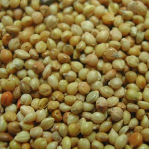 PANIS GEEL (gierst) zak 20 kg