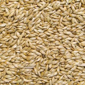 PLATZAAD / KANARIEZAAD (ALPIST) zak 5 kg