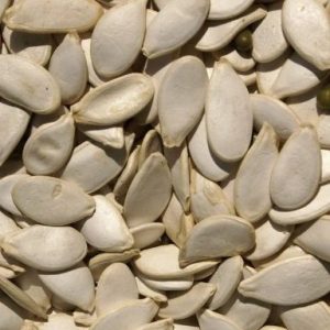 POMPOENPITTEN zak 25 kg