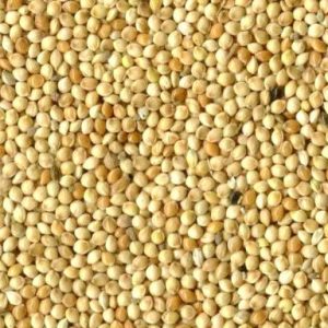 RONDZAAD WIT (gierst) zak 1 kg