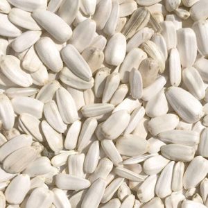 ZONNEPIT WIT MEDIUM/KLEIN zak 2,5 kg