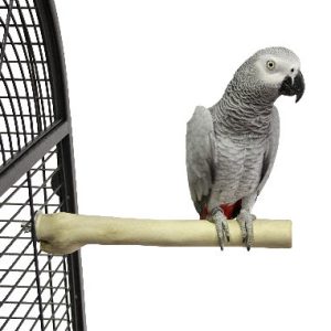 ZF1002 JAVA ZITSTOK MEDIUM ± Ø 3CMX30CM