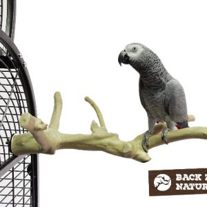 ZF1005 JAVA MULTI ZITSTOK MEDIUM ± Ø 3CMX40CM