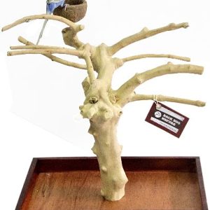 ZF1112 JAVA SPEEL STAND SMALL 40*50CM