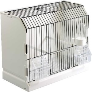 315 TENTOONST. KOOI PLAST. 2 DRN /36*17*30CM zwart