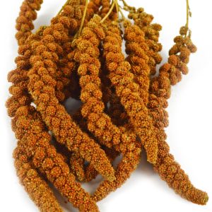 139420 TROSGIERST ROOD 200G