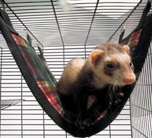 5928 RELAX DE LUXE FLAT ASS. MEDIUM 30X25CM SAVIC