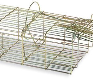 32515 MUIZEVAL 18*36.5*16CM