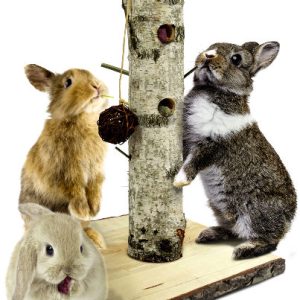 21444 “BACK TO INSTINCT” SPEELBOOM 38*38*58CM JR FARM