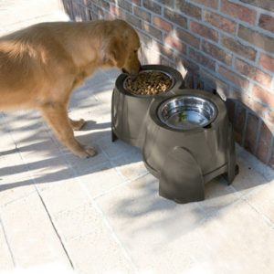 0296 ERGO FEEDER LARGE 61*35*28H 2*1.5L