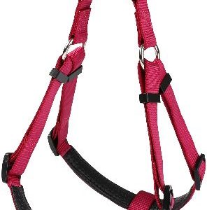 128110FUS HARNAS BASIC CONFORT FUSHIA 40MM-96/120CM