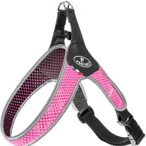 Harnas met rug-  en borstclip 20 kg  Ø 50-60 cm