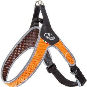 Harnas met rug- en borstclip 20 kg  Ø 50-60 cm