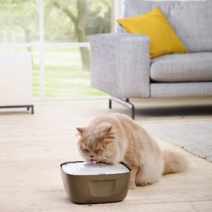 A0331 VOLCANO WATERFONTEIN 2.5L