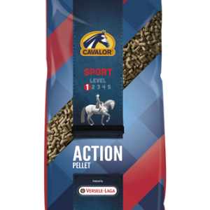 Sportkorrel voor wedstrijdpaarden.  20kg