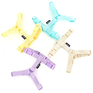 MacaroneWalk – Verstelbare Hondenharnas Set met Halsband & Lijn