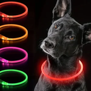 GlowGuard LED Veiligheidshalsband voor Honden – USB Oplaadbaar & Reflecterend