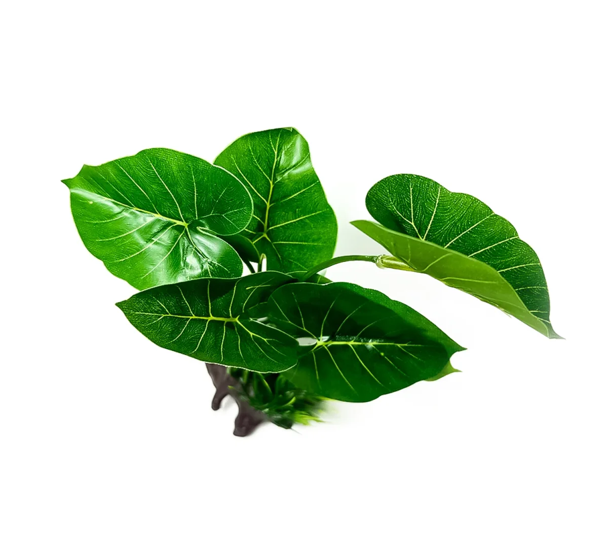 Natuurgetrouwe Aquarium Kunstplant - Hastifolia Plant - Afbeelding 4