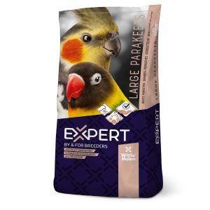 Expert pyrrhura’s 20kg