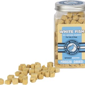 FDT-367 SNACK WITTE VIS 60G – KIWI WALKER