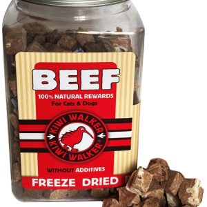 FDT-396 SNACK RUND 45G – KIWI WALKER