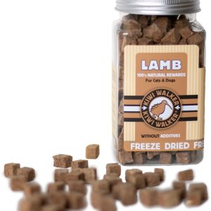 FDT-400 SNACK LAM 90G – KIWI WALKER