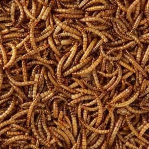 MEELWORMEN – GARDEN HEROES zak 5 kg