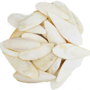 SEPIA SCHELPEN 2 KG /9 -11 INCH