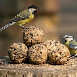 SUPREME MEZENBOLLEN 60ST GARDEN HEROES