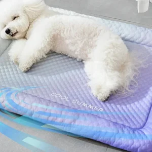 COOLPAWS – Verkoelend Huisdierenmatras voor Hond & Kat