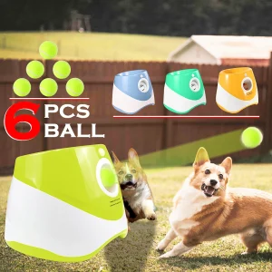 Automatische honden ballenwerper – 6 ballen, USB oplaadbaar, 5cm