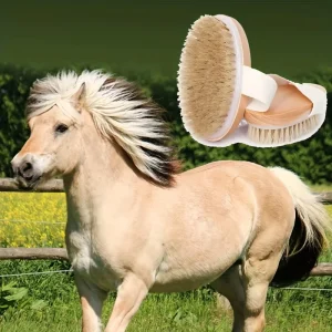 PureMane Care – Natuurlijke Paardenhaar Ontklit- & Reinigingsborstel (1/2-delig)