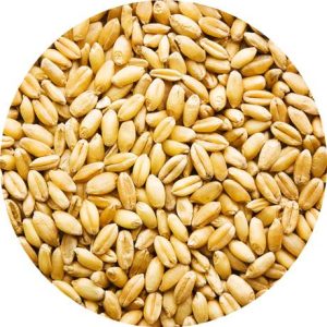 TARWE FARM-X zak 20 kg