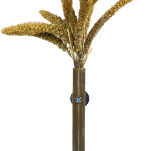 ZF1385 SETERIA ITALICA 50GR