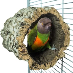 ZF5311 STRONKHUT MEDIUM 22*19*19CM