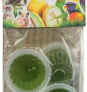 ZF9277 FRUITKUIPJE MELOEN 6ST BACK ZOO NATURE