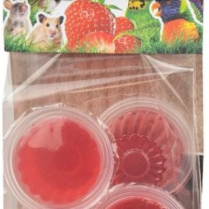 ZF9279 FRUITKUIPJE AARDBEI 6ST – BACK ZOO NATURE