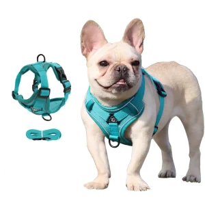 PawSecure Harnas & Lijn Set