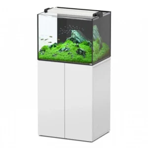 Aquaview 65 AQUATLANTIS Blanc Laqué - 136 L
