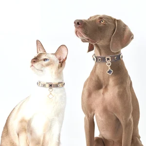 LuckyLuxe Clover Collar – Luxe PU Leren Katten- & Hondenhalsband