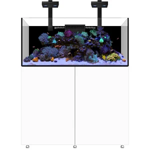 Infinia Reef 150.4 Blanc WATERBOX - Aquarium Récifal 400 L
