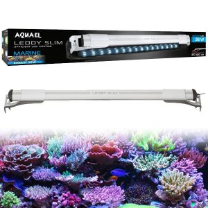 Éclairage LED Leddy Slim Marine AQUAEL - Blanc 36W