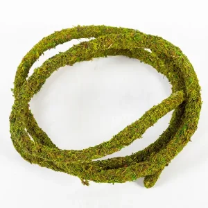 Liane Vine Moss Natural REPTIZOO - 200 x 1,5 cm