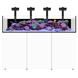 Infinia Frag 175.6 Blanc WATERBOX - Aquarium Récifal 446 L